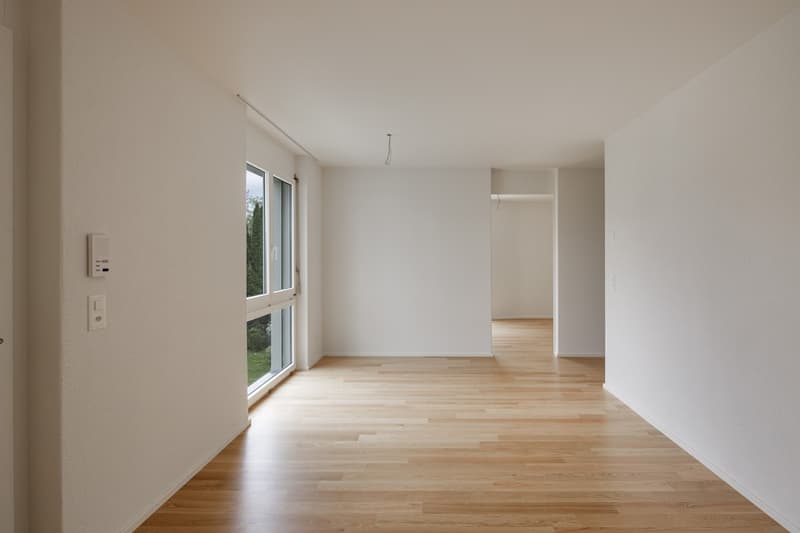 ***PREMIÈRE LOCATION APRÈS RÉNOVATION COMPLÈTE*** (5)