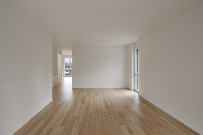 ***PREMIÈRE LOCATION APRÈS RÉNOVATION COMPLÈTE*** (9)