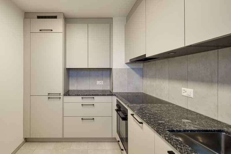 ***PREMIÈRE LOCATION APRÈS RÉNOVATION COMPLÈTE*** (3)