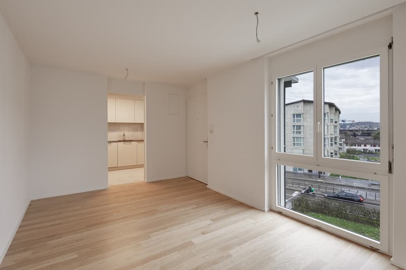 ***PREMIÈRE LOCATION APRÈS RÉNOVATION COMPLÈTE*** (6)