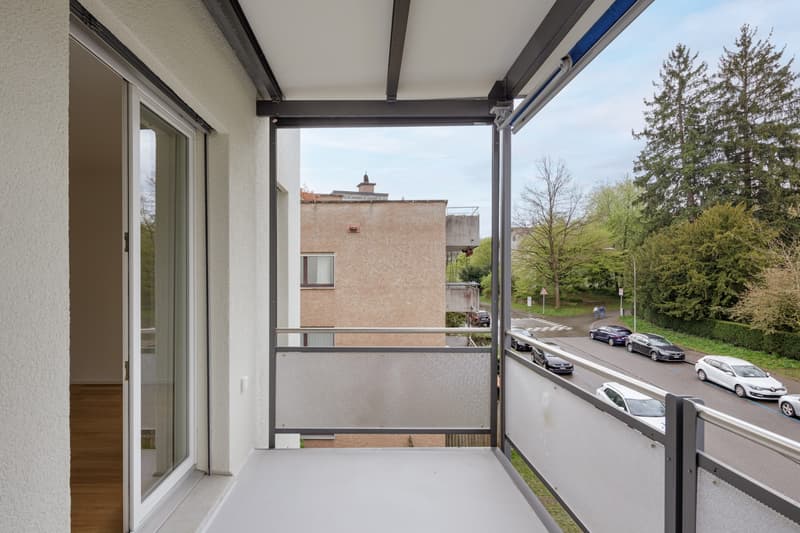 ***PREMIÈRE LOCATION APRÈS RÉNOVATION COMPLÈTE*** (8)