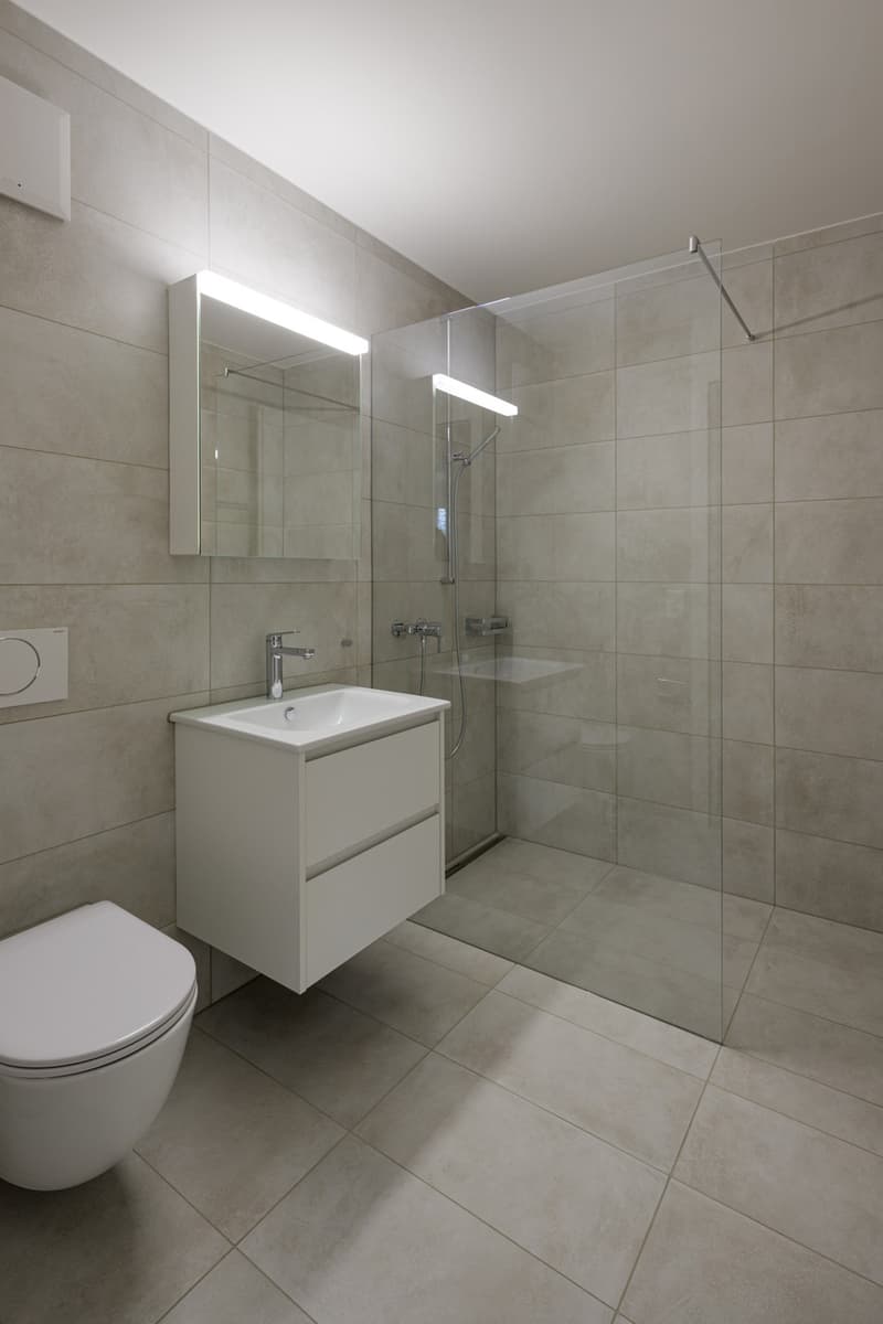 ***PREMIÈRE LOCATION APRÈS RÉNOVATION COMPLÈTE*** (4)