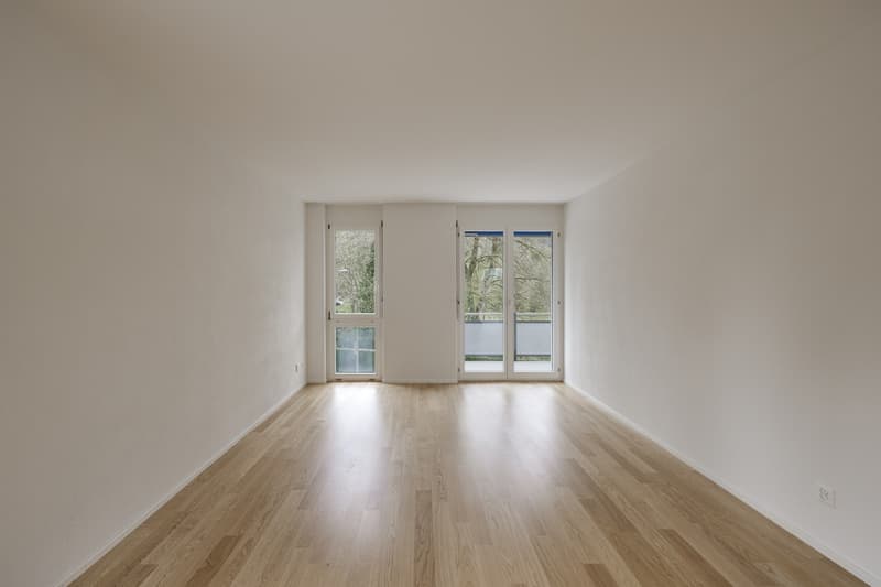 ***PREMIÈRE LOCATION APRÈS RÉNOVATION COMPLÈTE*** (11)