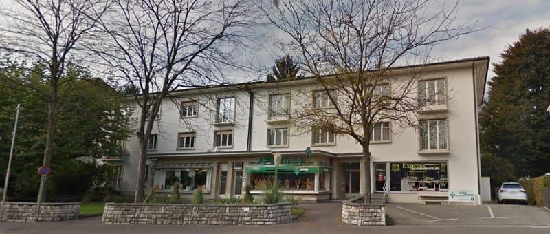 Grosse, helle 3.0-Zimmer-Wohnung in Allschwil (5)