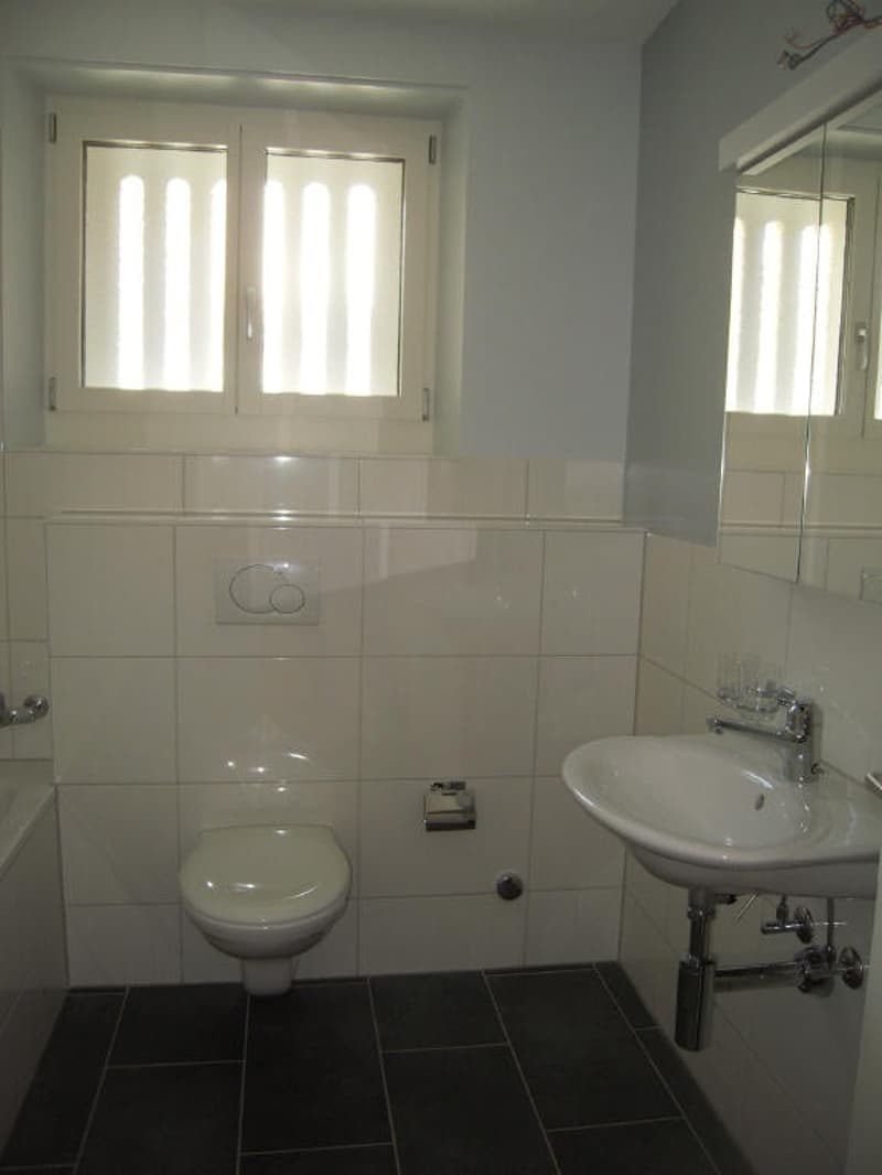 Grosse, helle 3.0-Zimmer-Wohnung in Allschwil (4)