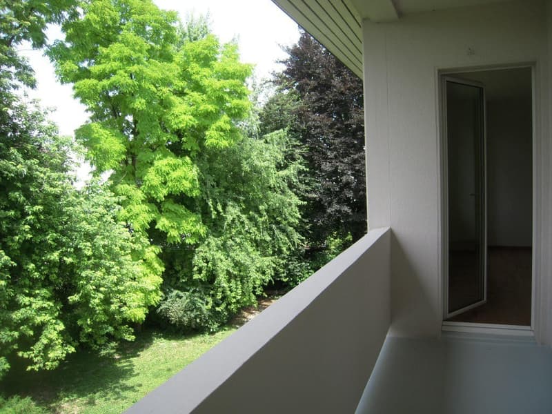 Grosse, helle 3.0-Zimmer-Wohnung in Allschwil (3)