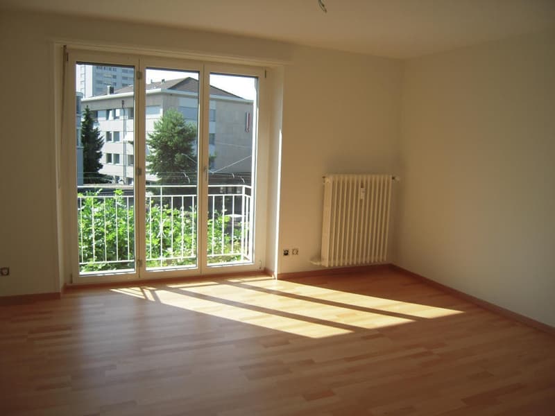 Grosse, helle 3.0-Zimmer-Wohnung in Allschwil (2)