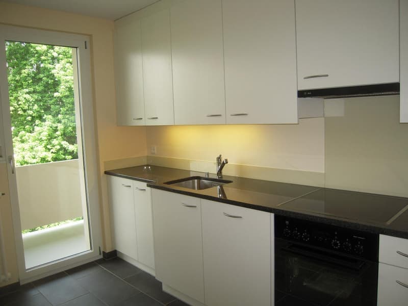 Grosse, helle 3.0-Zimmer-Wohnung in Allschwil (1)