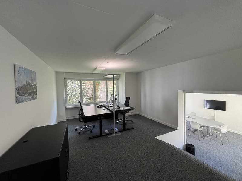 Grosszügige Büro-/Praxisräume unweit vom Hegibachplatz (3)