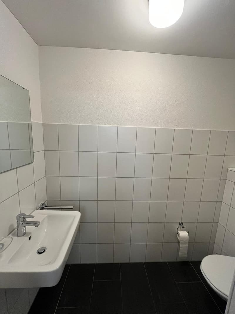 Moderne 4.5-Zimmer-Wohnung mit Terrasse (9)