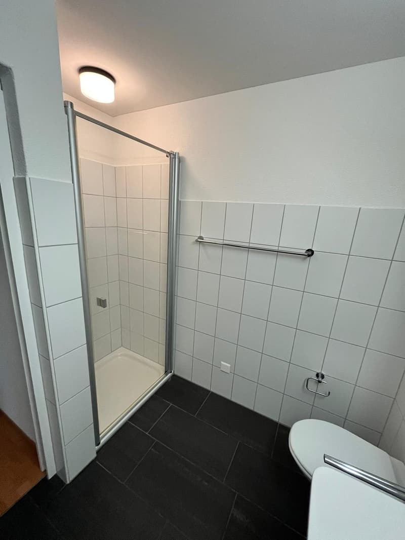 Moderne 4.5-Zimmer-Wohnung mit Terrasse (11)