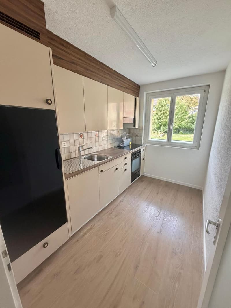 3-Zimmer-Wohnung nähe Zürichsee (3)