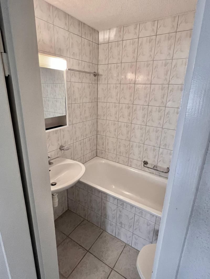 Neu renovierte 2-Zimmer-Wohnung mit Balkon in Seenähe (3)