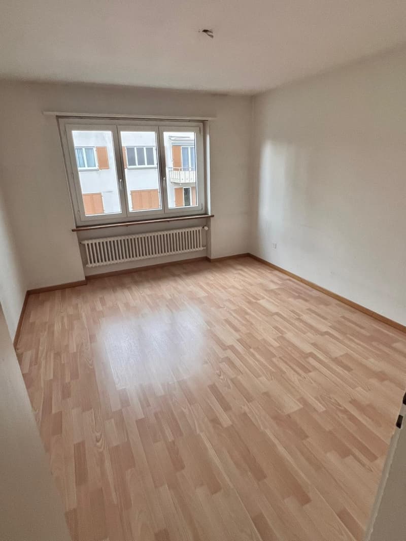 Neu renovierte 2-Zimmer-Wohnung mit Balkon in Seenähe (4)