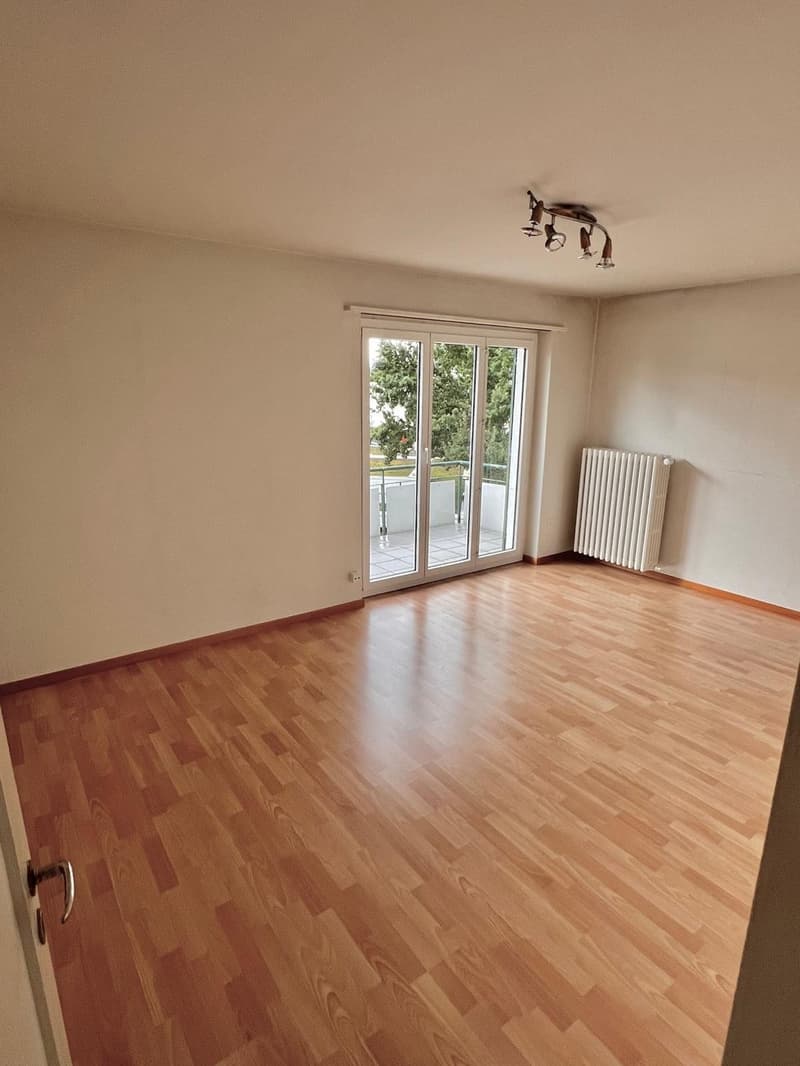 Neu renovierte 2-Zimmer-Wohnung mit Balkon in Seenähe (2)