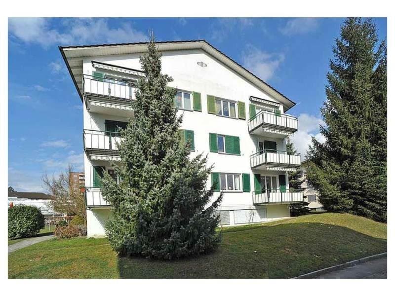 Neu renovierte 2-Zimmer-Wohnung mit Balkon in Seenähe (1)