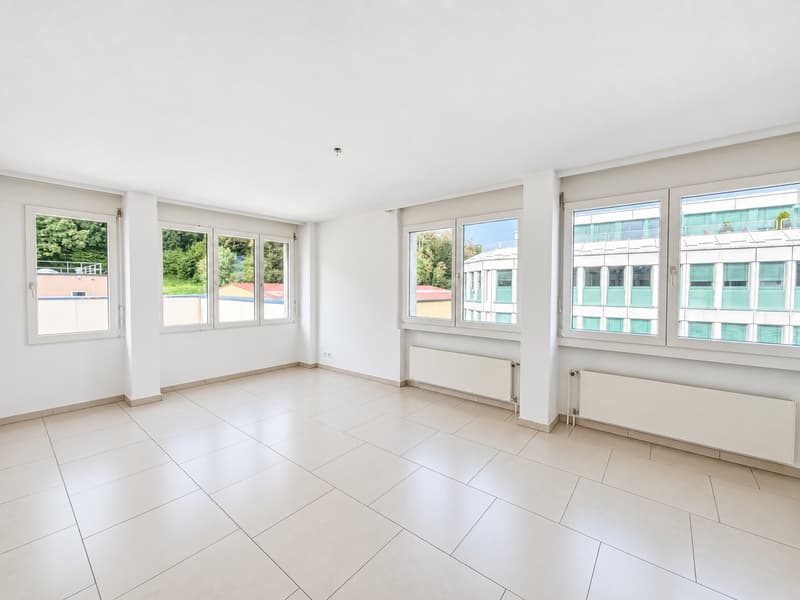 Grosszügige 3½-Zimmer-Wohnung mit 71 m² Terrasse ins Grüne (6)