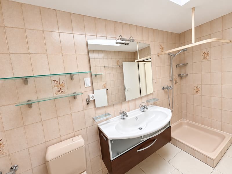 Grosszügige 3½-Zimmer-Wohnung mit 71 m² Terrasse ins Grüne (8)