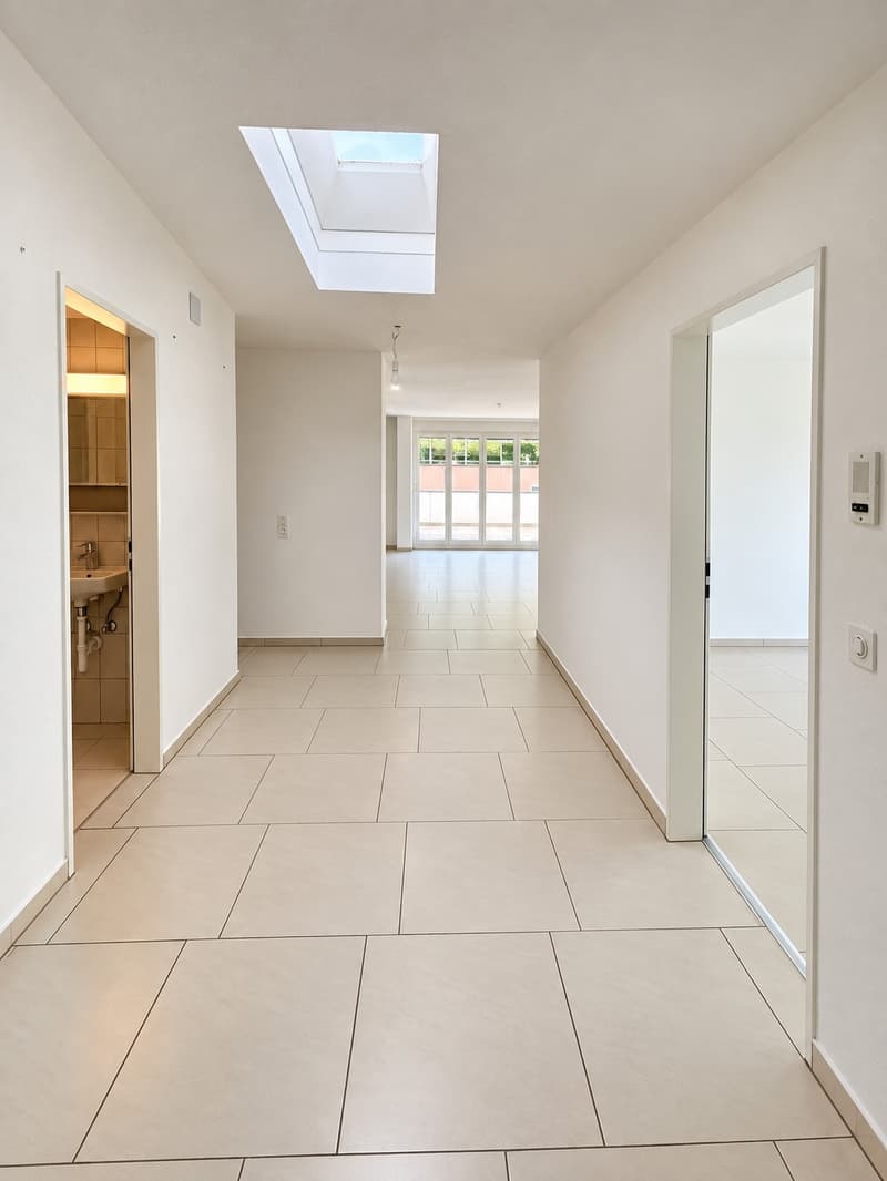 Grosszügige 3½-Zimmer-Wohnung mit 71 m² Terrasse ins Grüne (10)