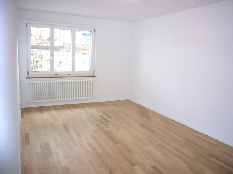 Ihre neue Wohnung in Sihlnähe (4)
