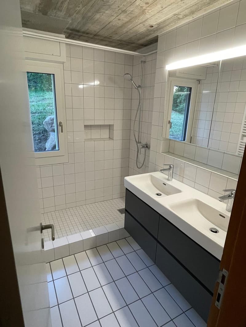 Einzigartiges Einfamilienhaus am Zürichberg (9)
