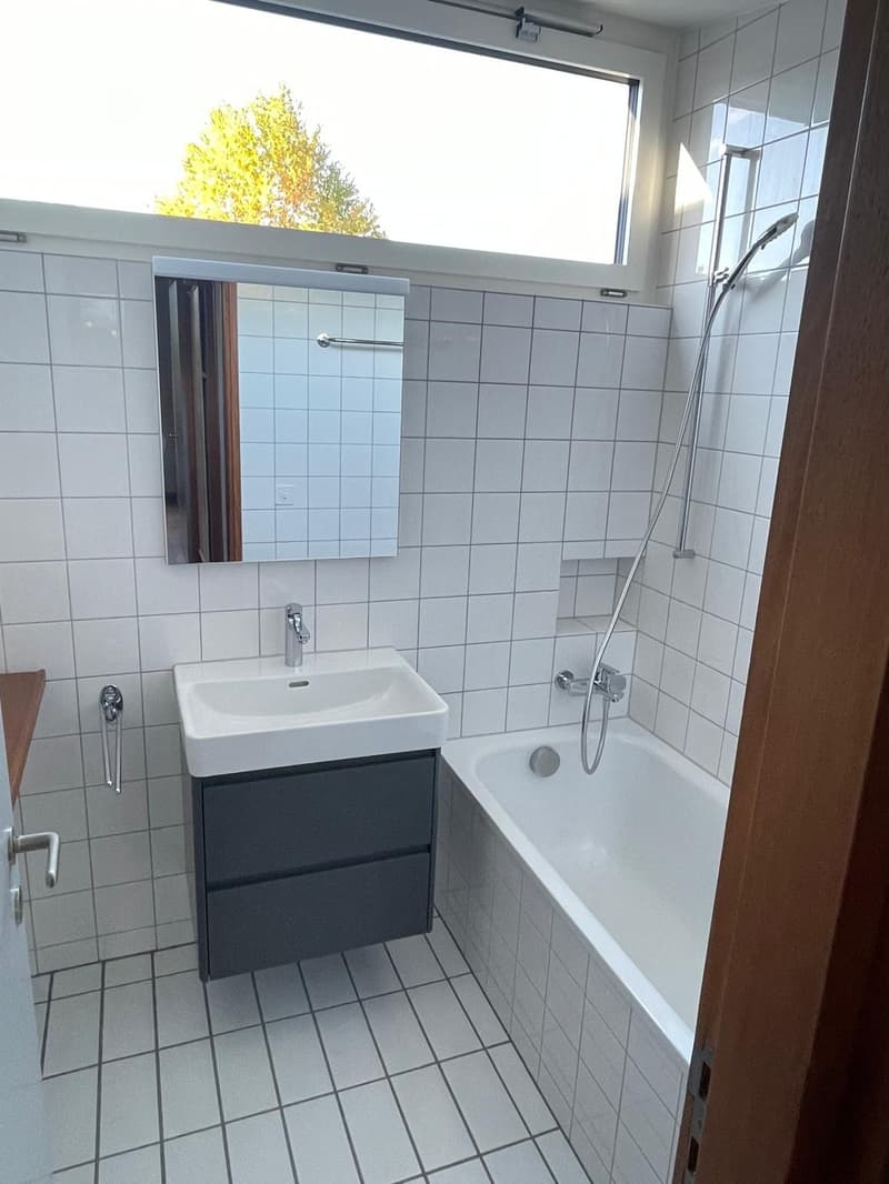 Einzigartiges Einfamilienhaus am Zürichberg (8)
