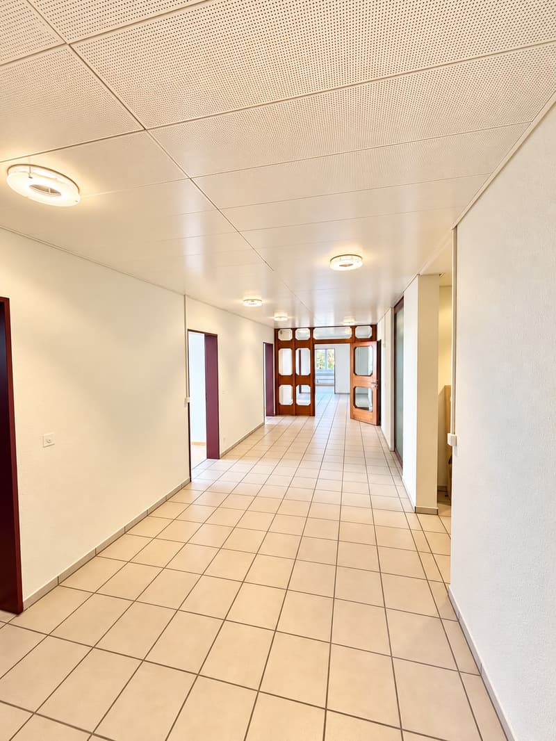 Flexible Bürofläche mit viel Tageslicht in Fällanden (3)