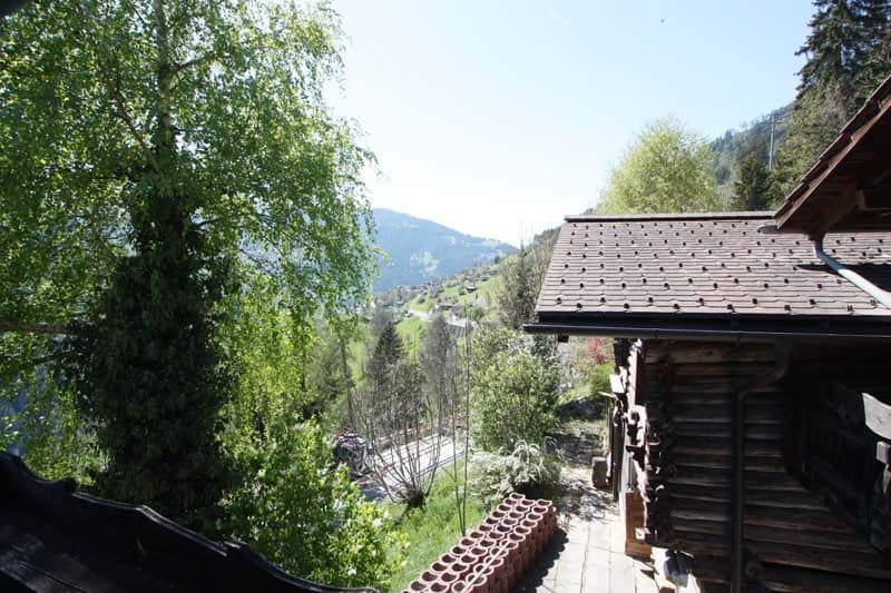 Chalet-style blockhouse with stable and meadow (2)