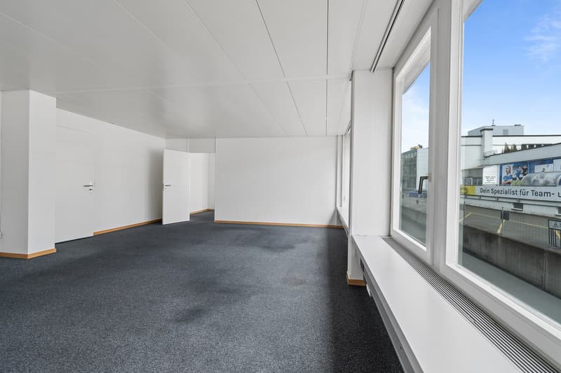 Empty room, white walls, grey carpet, double windows with view