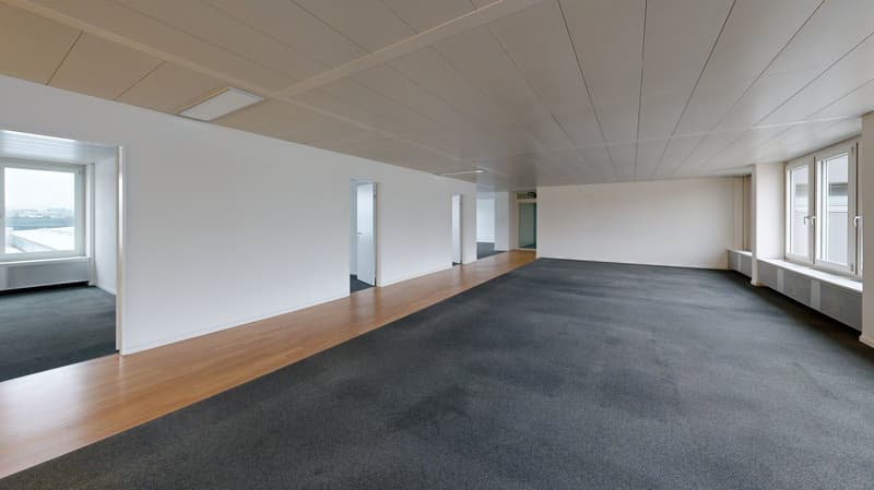 Empty room, white walls, wooden floor, grey carpet, glass windows, radiators