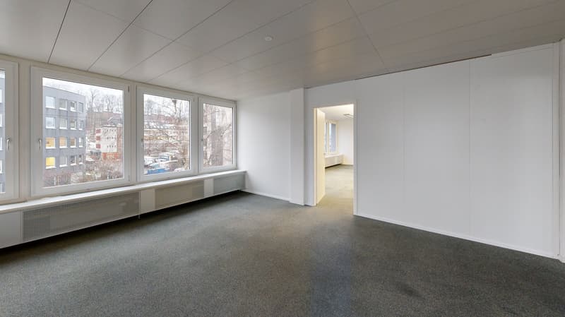 empty room, windows, white walls, carpeted floor, radiators beneath windows