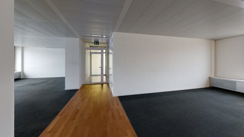 Wide room with black carpet and wooden floor, white walls, glass door leading to another room