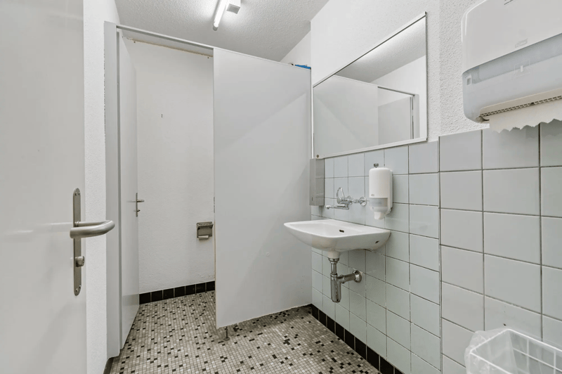 bathroom, white tiles, white door, sink, faucet, mirror, tissue dispenser, wall mounted tissue dispenser