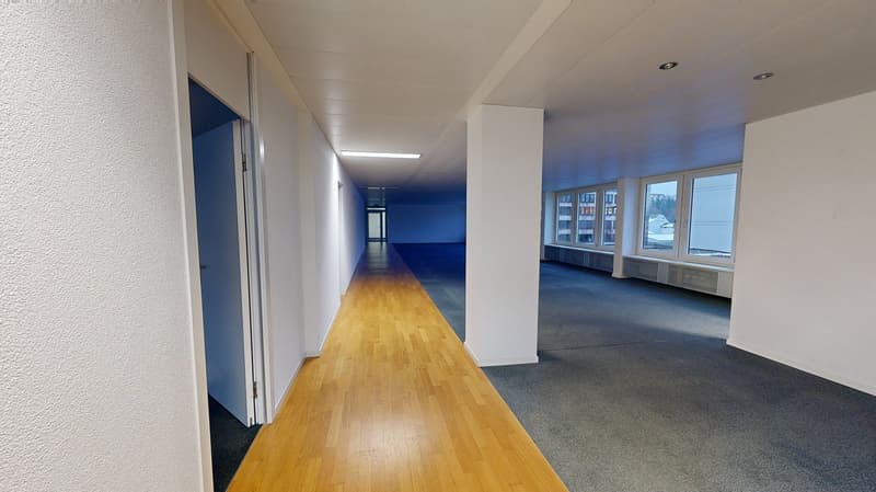 wooden floor, white walls, gray carpet, wide corridor