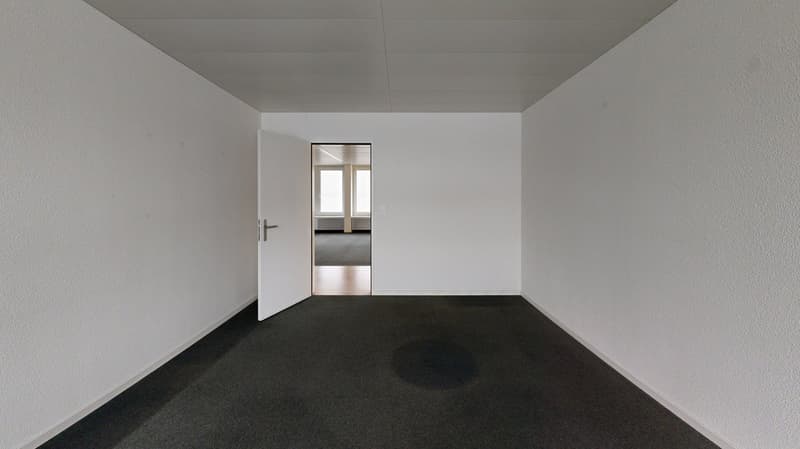 white walls, white door, open door, dark gray carpet, wooden floor