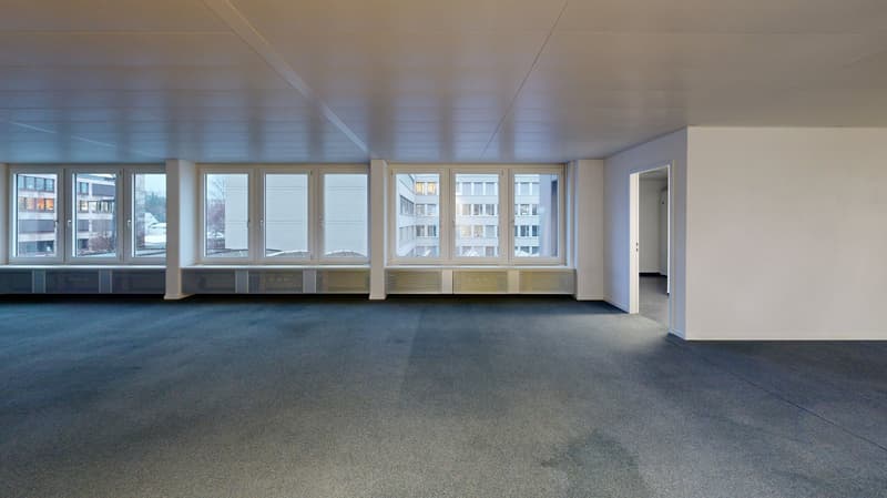 large empty room, gray carpet, white walls, many windows, white ceiling