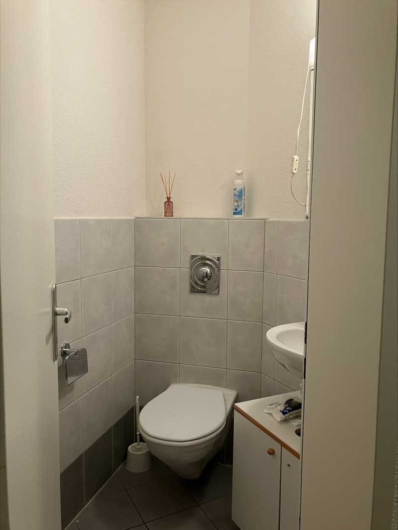 Appartamento di 4 locali a Zürich Seebach in affitto! (4)