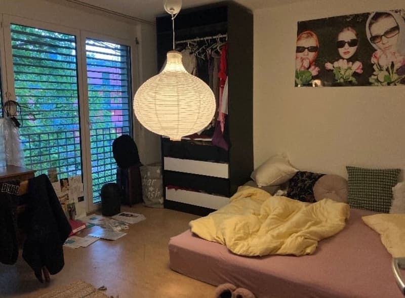 Appartamento di 4 locali a Zürich Seebach in affitto! (7)