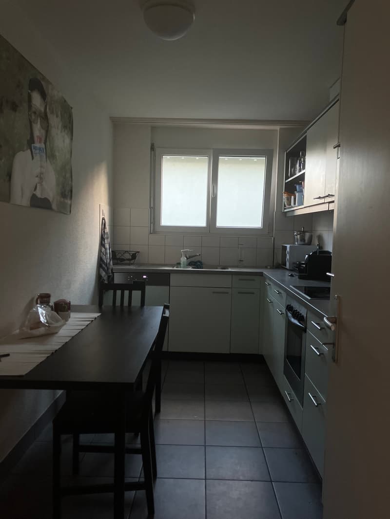 Appartamento di 4 locali a Zürich Seebach in affitto! (3)