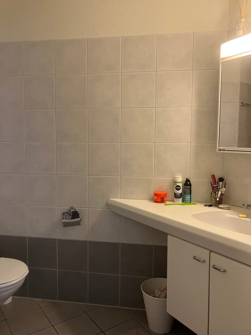 Appartamento di 4 locali a Zürich Seebach in affitto! (6)