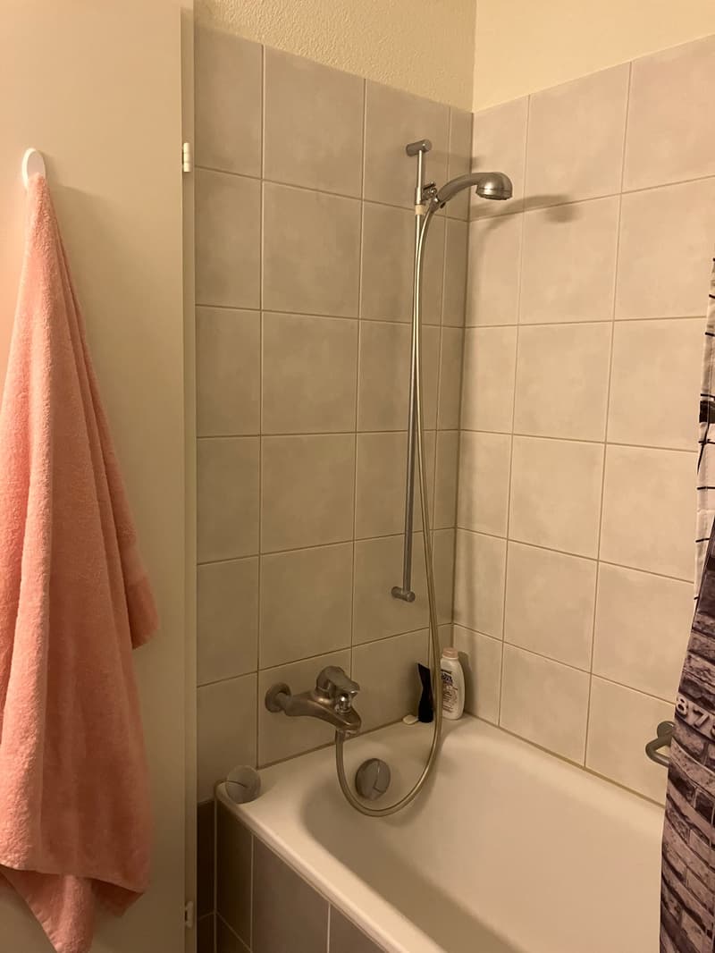 Appartamento di 4 locali a Zürich Seebach in affitto! (5)