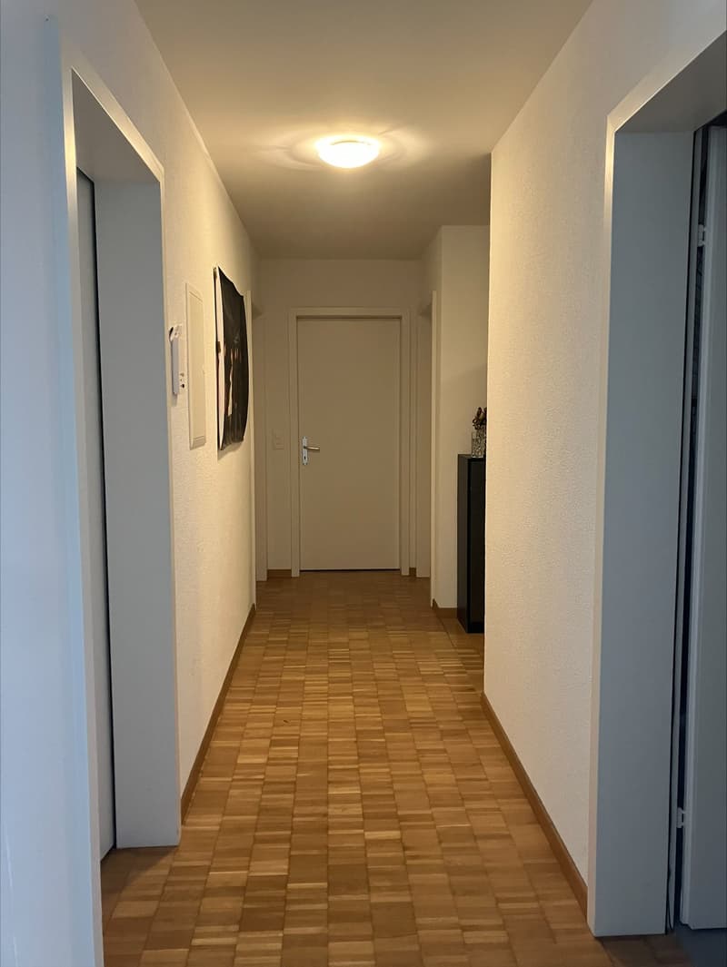 Appartamento di 4 locali a Zürich Seebach in affitto! (8)