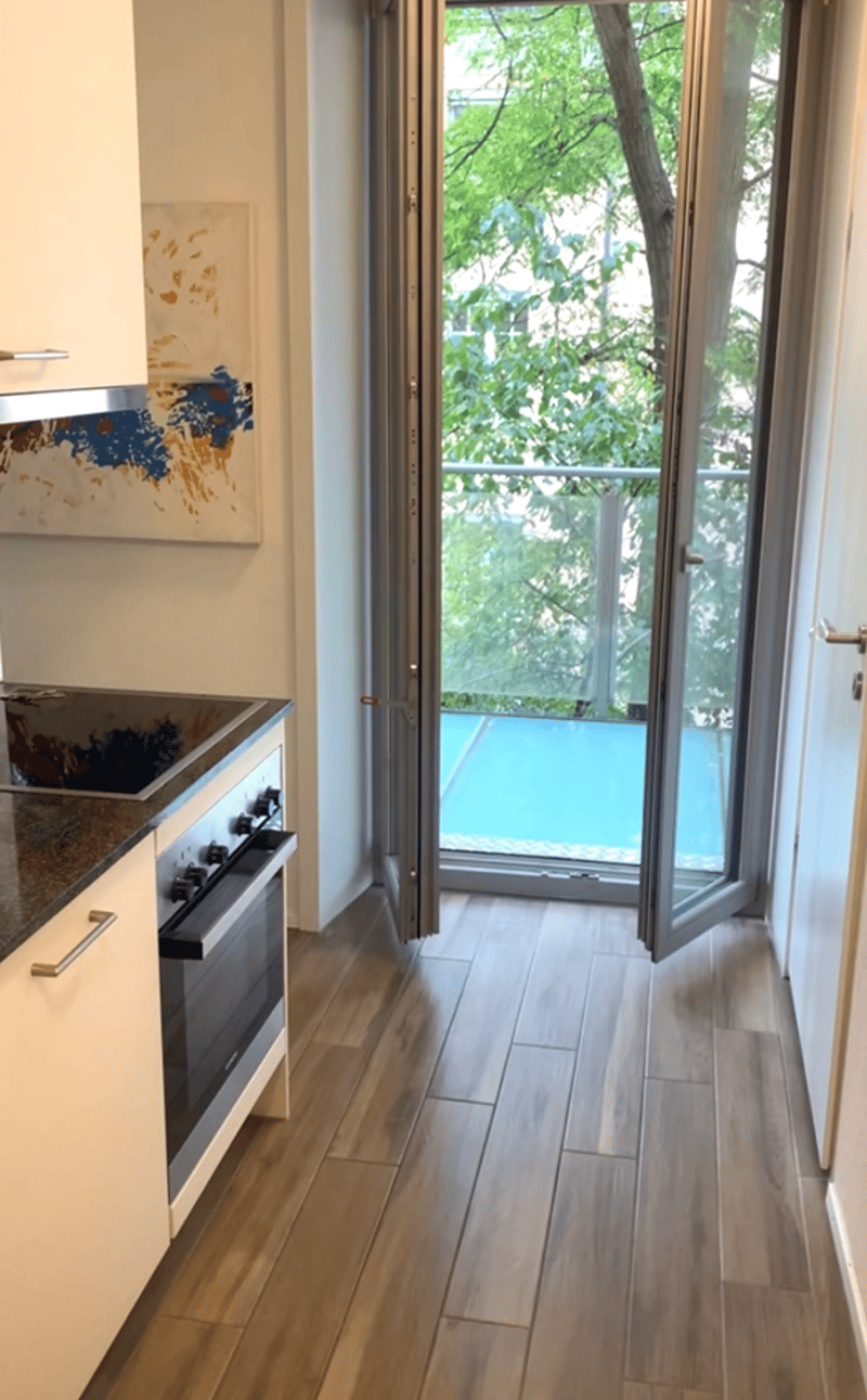 Furnished 1-room apartment with balcony in Zurich (3)