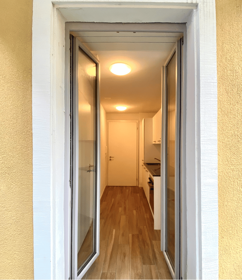 Furnished 1-room apartment with balcony in Zurich (4)