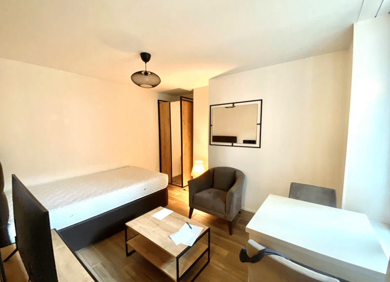 Furnished 1-room apartment with balcony in Zurich (2)