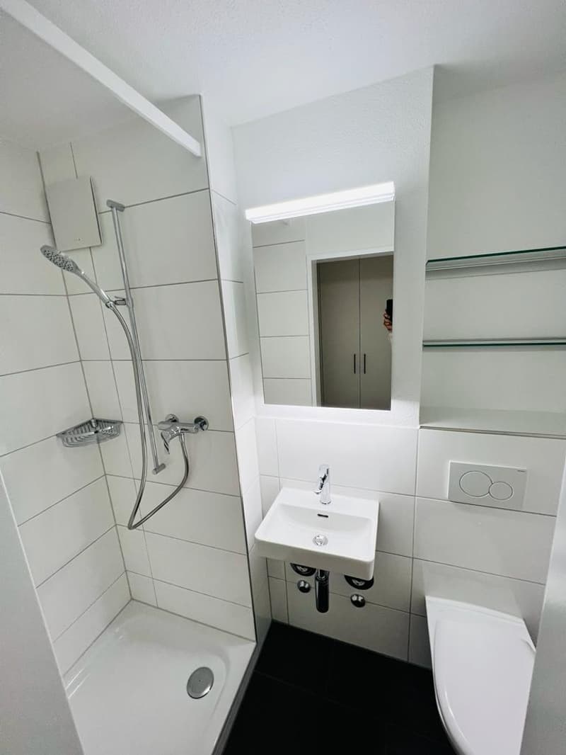 FIRST RENTAL - Modern 4.5-room apartments after renovation (6)