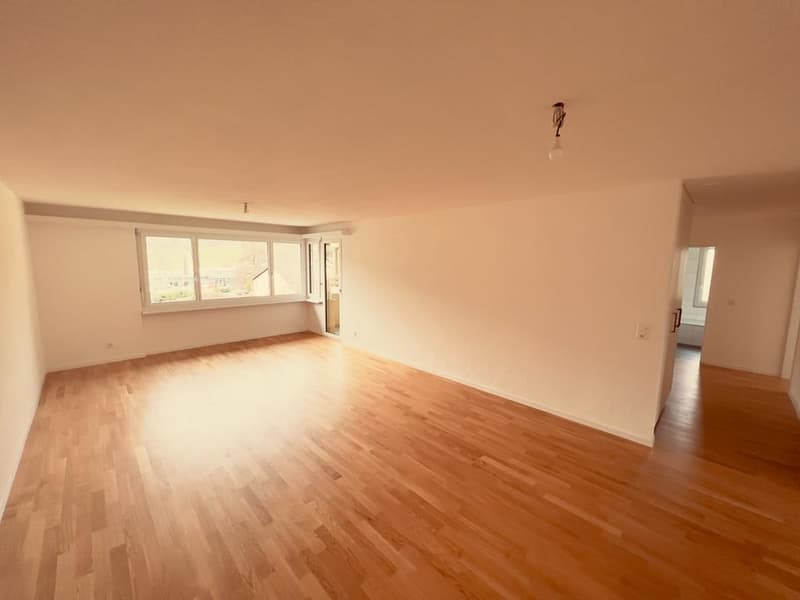 FIRST RENTAL - Modern 4.5-room apartments after renovation (4)