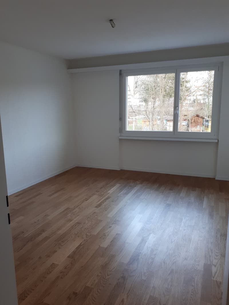 FIRST RENTAL - Modern 4.5-room apartments after renovation (8)