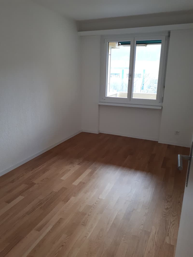 FIRST RENTAL - Modern 4.5-room apartments after renovation (9)