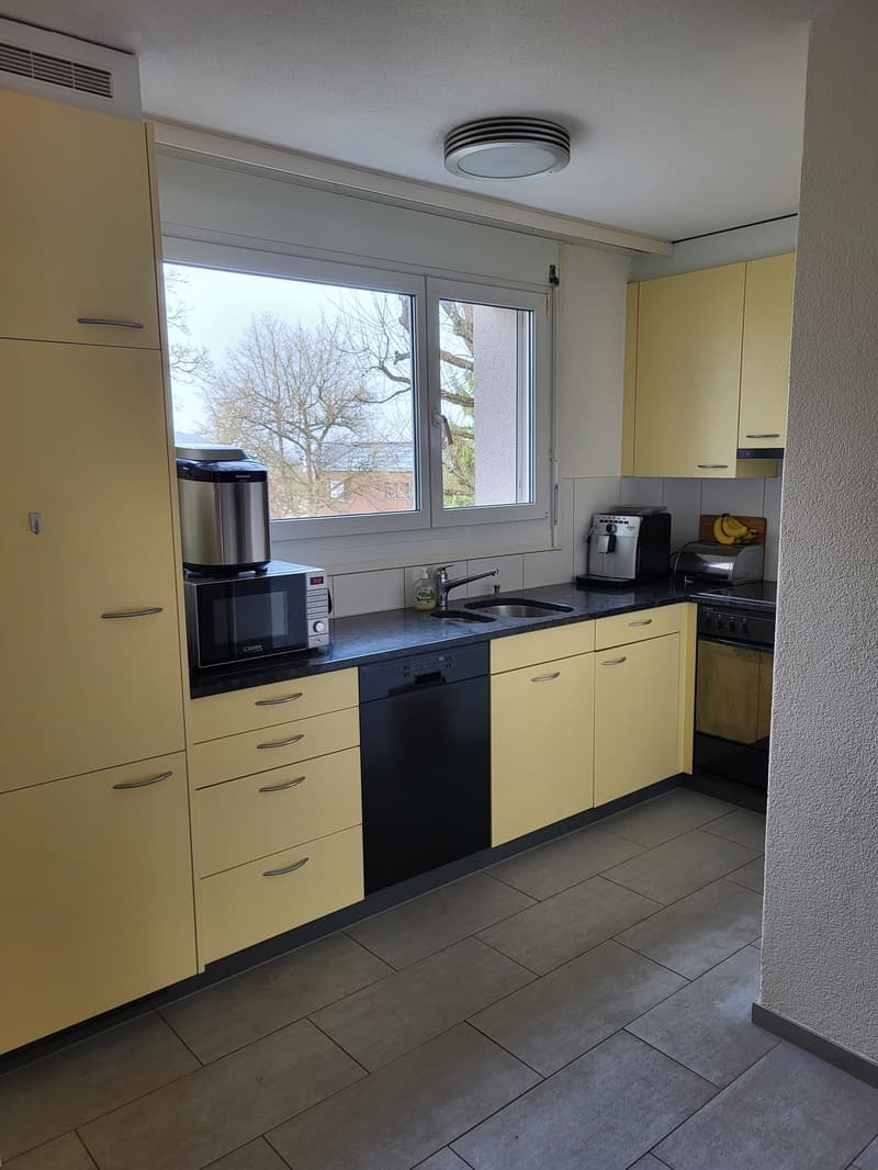 Traumhafte 4.5-Zimmer-Maisonettewohnung in Adliswil zu vermieten! (3)